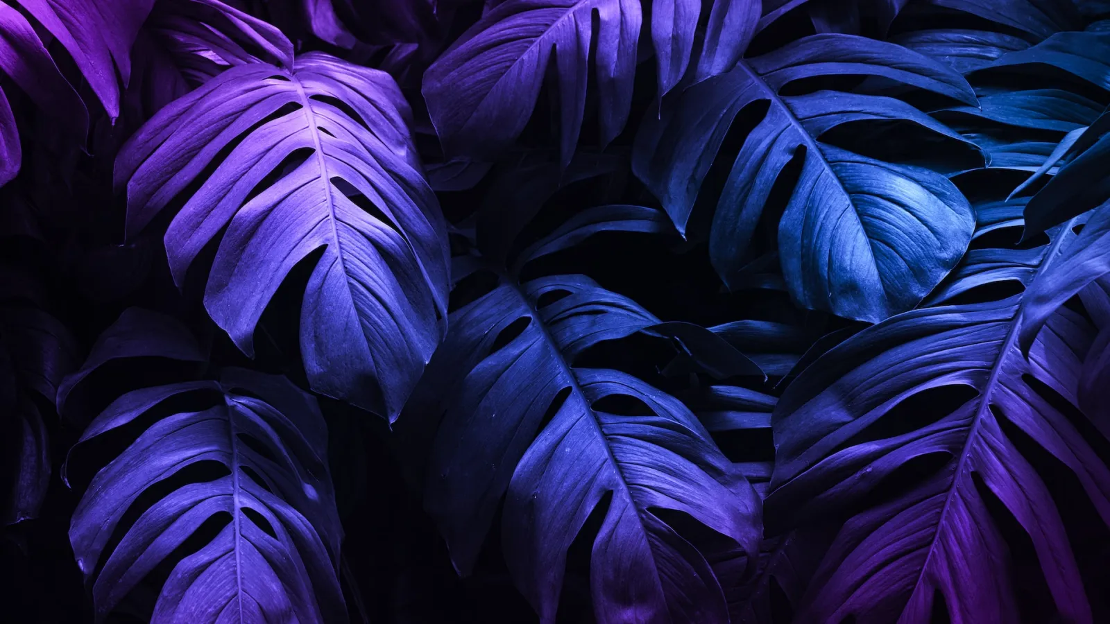 Renommer automatiquement le nom de vos images ajoutées sur votre WordPress / Woocommerce