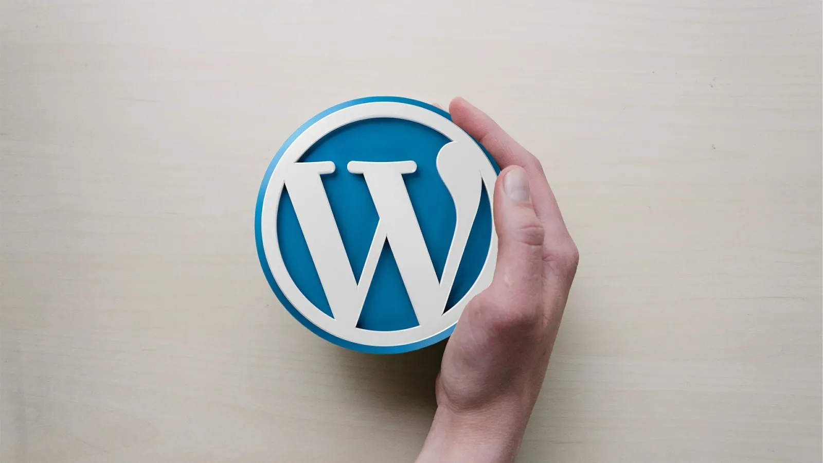 WordPress 5.6 : Nouvelle mise à jour